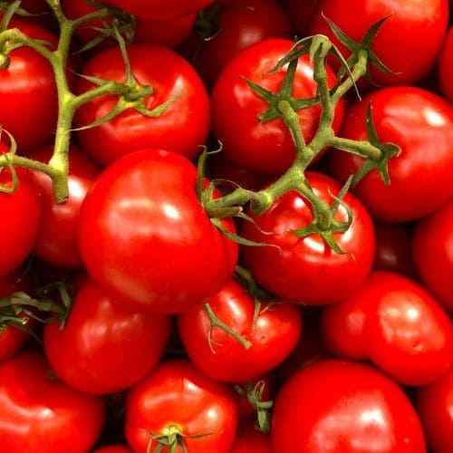 Organic Tomato